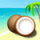 cocos